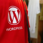 WordPress Shirt Logo