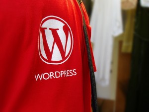 WordPress Shirt Logo