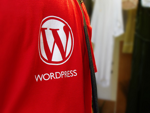What Your WordPress Theme Says About Your Blog
