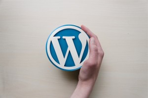 Important To See To WordPress Security