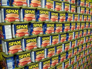 Keep WordPress Spam Free