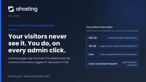 Autoloaded options warning card reading your visitors never see it, you do on every admin click, beside the 800 KB and 150 KB WordPress thresholds